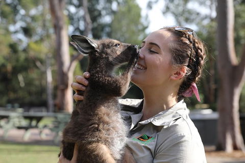 Port Stephens Day Tour With Dolphin Watching, Sandboarding & Australian Wildlife - Accommodation ACT 1