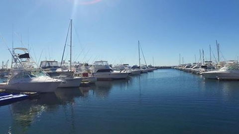 Port Stephens Day Tour With Dolphin Watching, Sandboarding & Australian Wildlife - Accommodation ACT 9