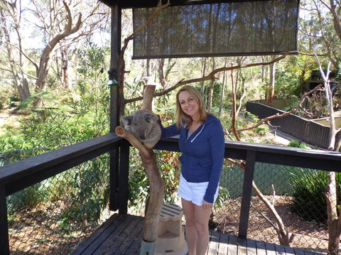 Port Stephens Day Tour With Dolphin Watching, Sandboarding & Australian Wildlife - Accommodation ACT 25