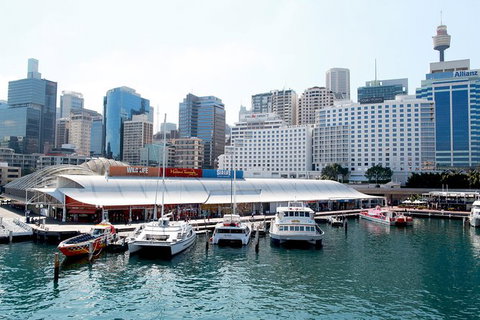 Sydney Attraction Pass: Darling Harbour Experience Ticket - Accommodation ACT 0