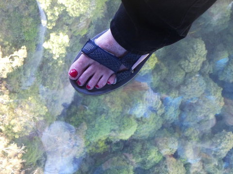 Blue Mountains Day Trip From Sydney Including Scenic World - Accommodation ACT 1