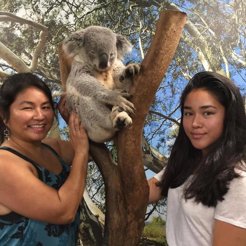 Blue Mountains Day Trip From Sydney Including Scenic World - Accommodation ACT 5