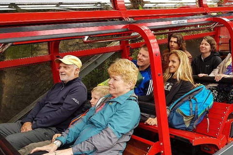 Blue Mountains Ultimate One-Day Tour - Accommodation ACT 12