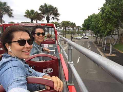 Sydney Combo: Hop-On Hop-Off Harbor Cruise And Hop-On Hop-Off City Bus Tour - Accommodation ACT 21