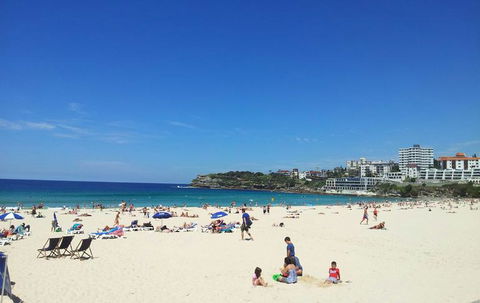 Sydney Combo: Hop-On Hop-Off Harbor Cruise And Hop-On Hop-Off City Bus Tour - Accommodation ACT 25