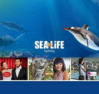 Sydney Attractions Pass SEA LIFE Aquarium Sydney Tower Eye WILD LIFE Zoo and Madame Tussauds - Accommodation ACT