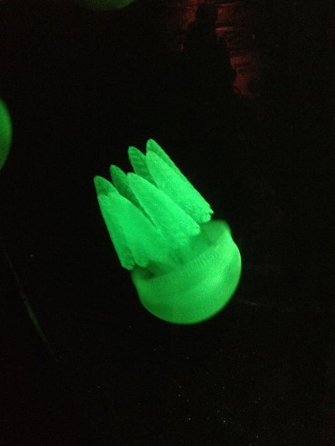 SEA LIFE Sydney Aquarium Entrance Ticket - Accommodation ACT 2