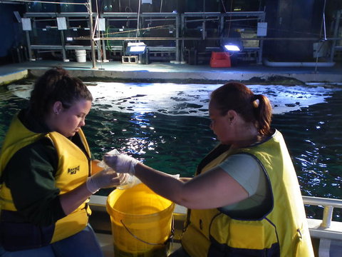 SEA LIFE Sydney Aquarium Entrance Ticket - Accommodation ACT 14