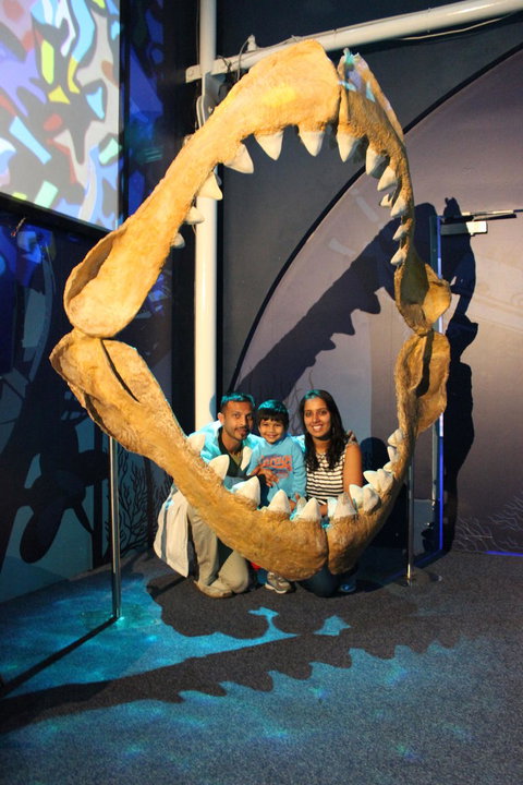 SEA LIFE Sydney Aquarium Entrance Ticket - Accommodation ACT 6