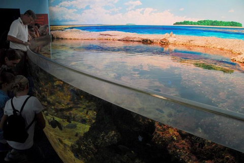 SEA LIFE Sydney Aquarium Entrance Ticket - Accommodation ACT 24