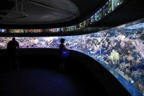 SEA LIFE Sydney Aquarium Entrance Ticket - Accommodation ACT 23