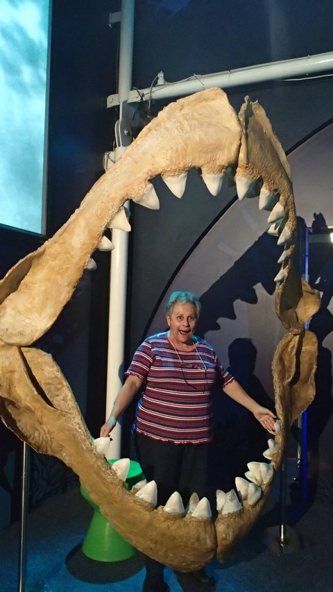 SEA LIFE Sydney Aquarium Entrance Ticket - Accommodation ACT 3