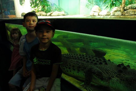 SEA LIFE Sydney Aquarium Entrance Ticket - Accommodation ACT 22