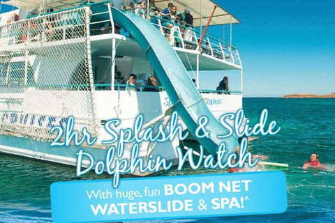 Port Stephens Dolphin Watching Cruise Including Splash And Slide - Accommodation ACT 0