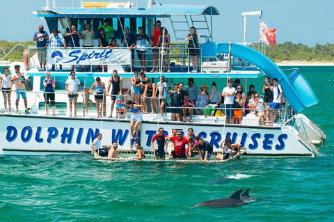 Port Stephens Dolphin Watching Cruise Including Splash And Slide - Accommodation ACT 1