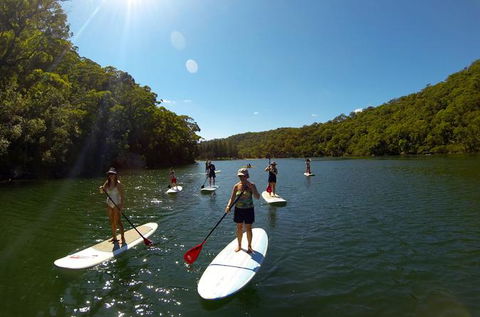 Basin Stand Up Paddle Boarding (SUP) Safari - Accommodation ACT 0