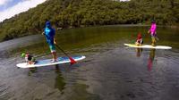 Basin Stand Up Paddle Boarding (SUP) Safari - Accommodation ACT 1