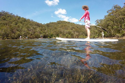 Basin Stand Up Paddle Boarding (SUP) Safari - Accommodation ACT 3