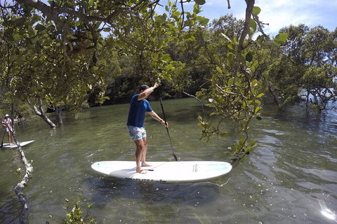 Basin Stand Up Paddle Boarding (SUP) Safari - Accommodation ACT 2