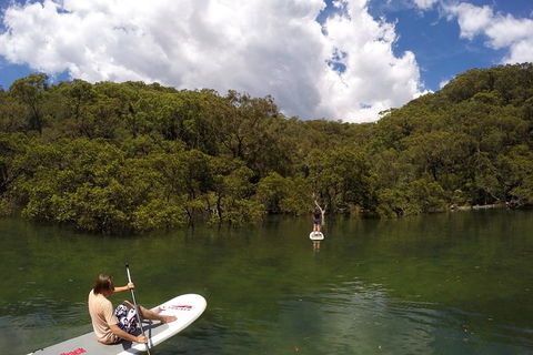 Basin Stand Up Paddle Boarding (SUP) Safari - Accommodation ACT 7
