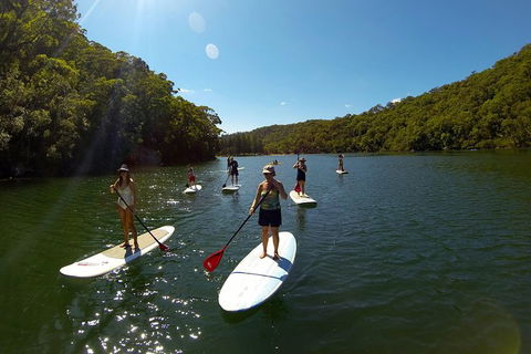 Basin Stand Up Paddle Boarding (SUP) Safari - Accommodation ACT 4