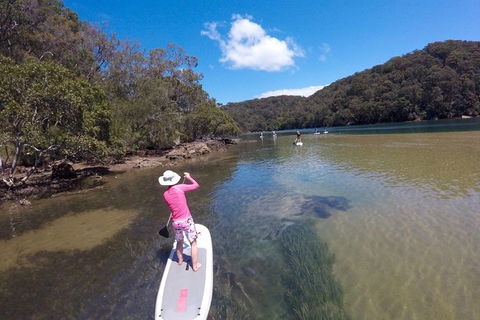 Basin Stand Up Paddle Boarding (SUP) Safari - Accommodation ACT 5