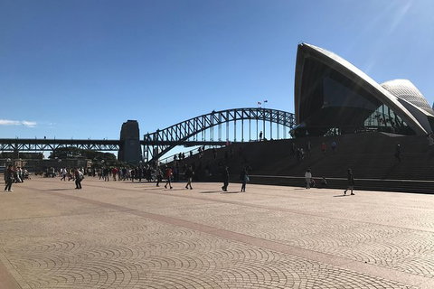 Fantastic Race Sydney - Accommodation ACT 1