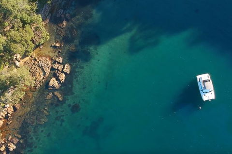 Harbour Sights Lunch Cruise On Sydney Harbour - Accommodation ACT 8