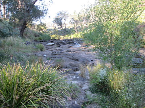 Wild Australian Wildlife 4WD Tour From Sydney - Accommodation ACT 22