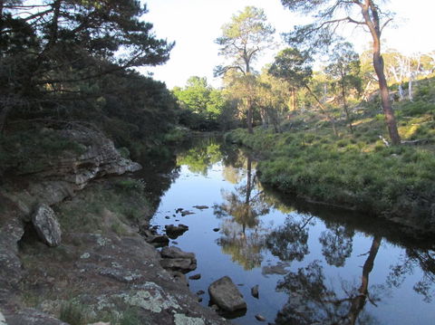 Wild Australian Wildlife 4WD Tour From Sydney - Accommodation ACT 21