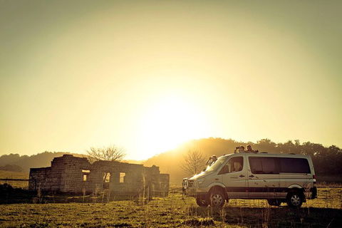 Wild Australian Wildlife 4WD Tour From Sydney - Accommodation ACT 0