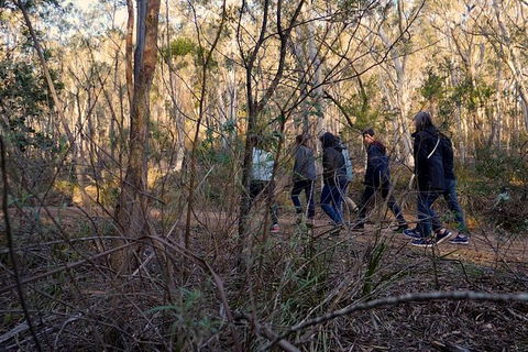 Wild Australian Wildlife 4WD Tour From Sydney - Accommodation ACT 31
