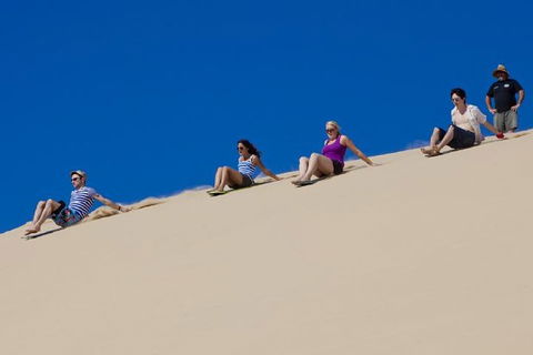 Port Stephens Day Tour From Sydney Including 4WD, Sandboarding And Dolphins - Accommodation ACT 1