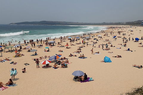 Experience The Real Sydney With Our Signature Tour - Accommodation ACT 7