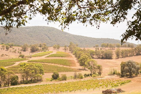 Hunter Valley Wine And Wildlife Reserve Tour From Sydney - Accommodation ACT 6
