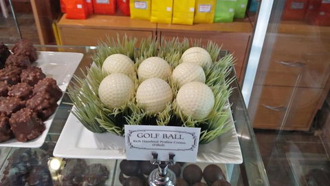 Hunter Valley Wine And Wildlife Tour From Sydney With Walkabout Wildlife Park - Accommodation ACT 3