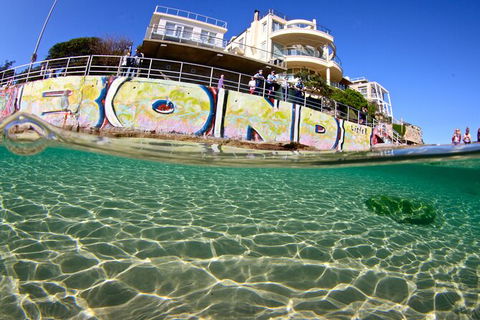 Bondi Like A Local: Half-Day Sightseeing Tour Including Surf Lesson - Accommodation ACT 5