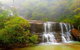 Blue Mountains Day Trip Including Parramatta River Cruise - thumb 10