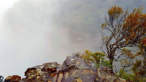 Blue Mountains Day Trip Including Parramatta River Cruise - Accommodation ACT 12