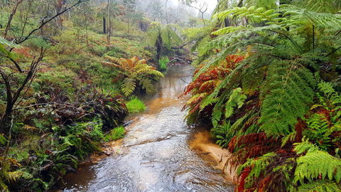 Blue Mountains Day Trip Including Parramatta River Cruise - Accommodation ACT 15