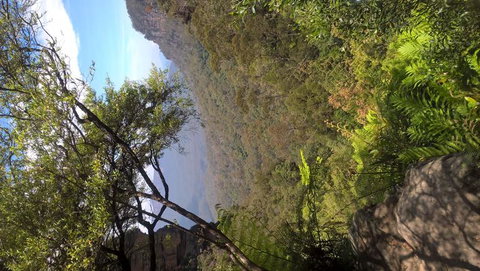 Blue Mountains Day Trip Including Parramatta River Cruise - Accommodation ACT 5