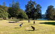 Best Of The Hawkesbury - 3 Day River Adventure - thumb 22