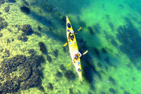 Self-Guided Sydney Middle Harbour Kayak 3 Hour Tour By Double Kayak - Accommodation ACT 3