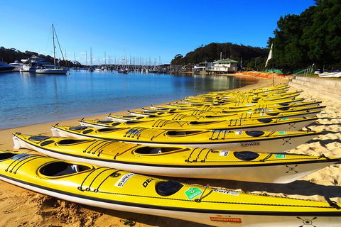 Self-Guided Sydney Middle Harbour Kayak 3 Hour Tour By Double Kayak - Accommodation ACT 4
