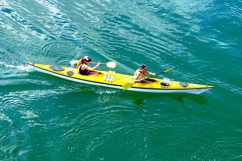 Self-Guided Sydney Middle Harbour Kayak 3 Hour Tour By Double Kayak - Accommodation ACT 2