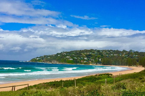Small-Group Sydney\'s Northern Beaches And Ku-ring-gai National Park Bus Tour - Accommodation ACT 11