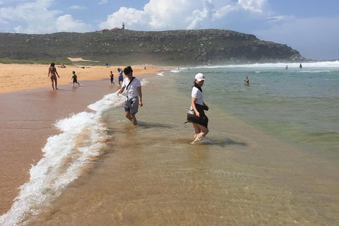 Small-Group Sydney\'s Northern Beaches And Ku-ring-gai National Park Bus Tour - Accommodation ACT 6