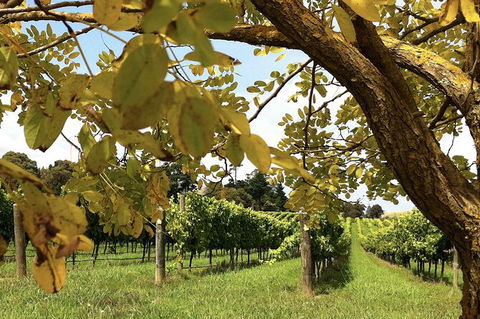 Private Southern Highlands Day Trip From Sydney Including Fitzroy Falls - Accommodation ACT 2