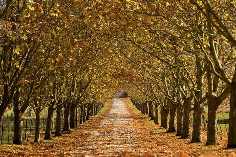 Private Southern Highlands Day Trip From Sydney Including Fitzroy Falls - Accommodation ACT 4