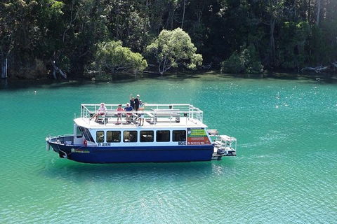 Brunswick Heads Rainforest Eco-Cruise - Accommodation ACT 0